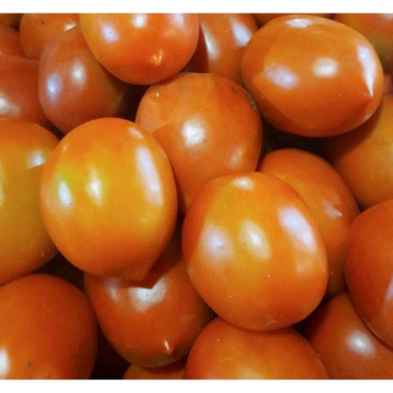 

Tomat Merah Segar 500gram