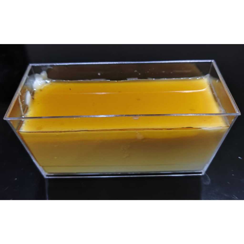 

Puding Karamel/ Puding Gyukaku/Custard Puding