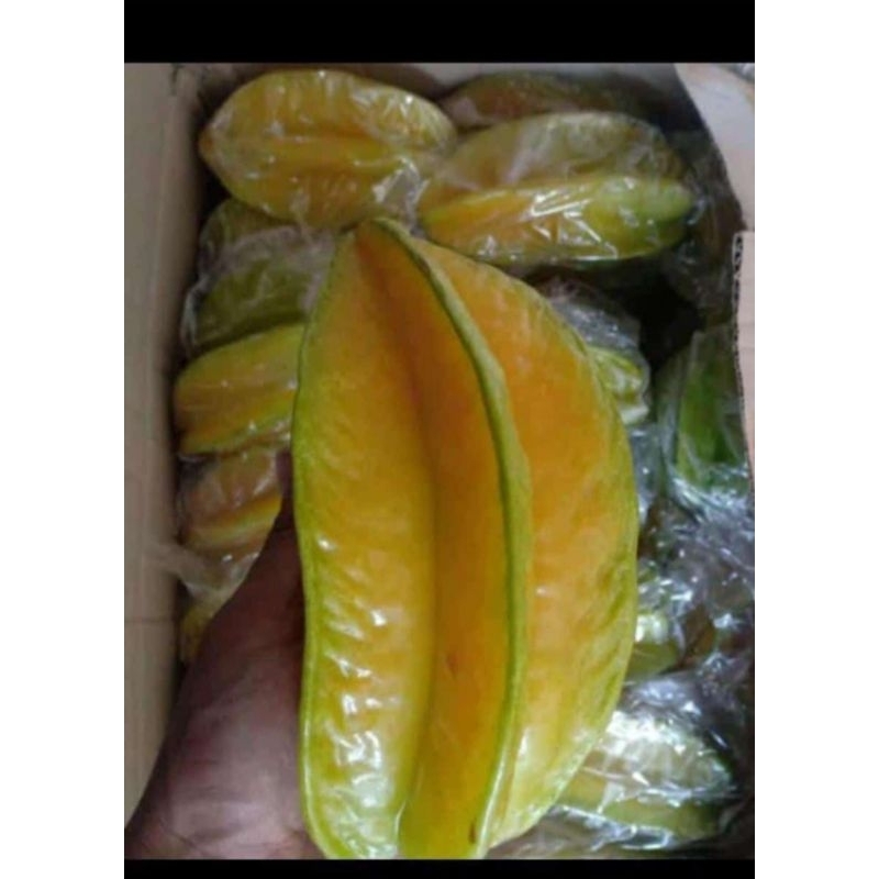 

belimbing madu 1kg