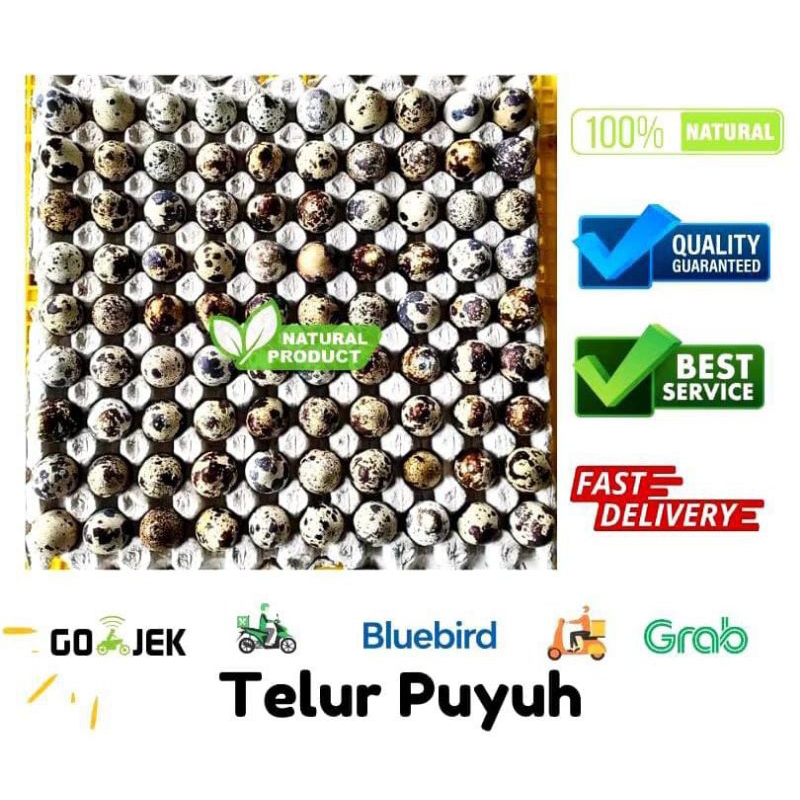 promo Telur Puyuh 1kg Fresh Ready Mentah/Mateng untuk Masakan Anda - Egg