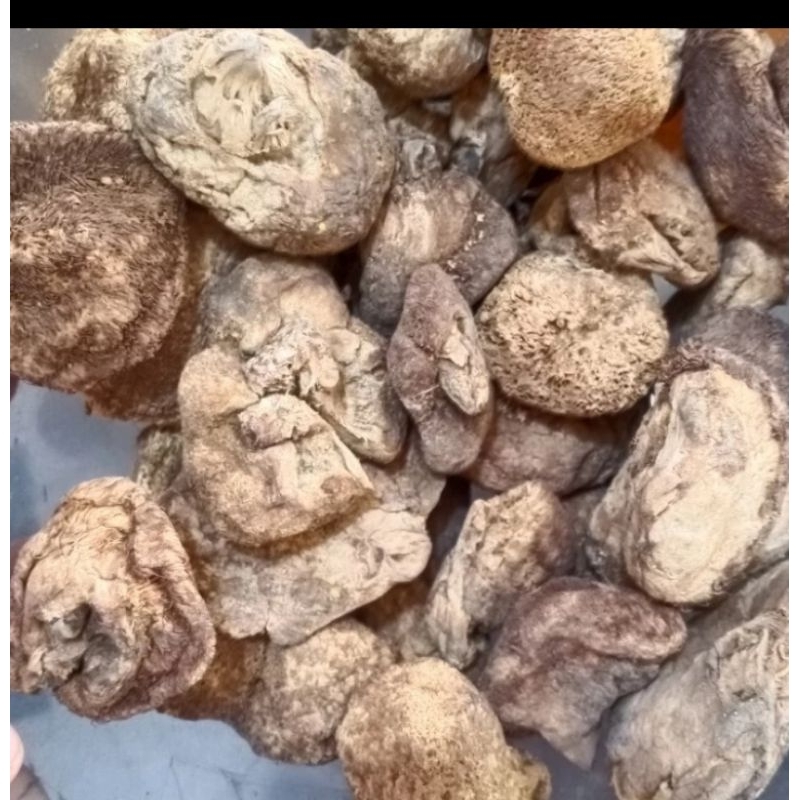 

jamur monyet kering 50gram