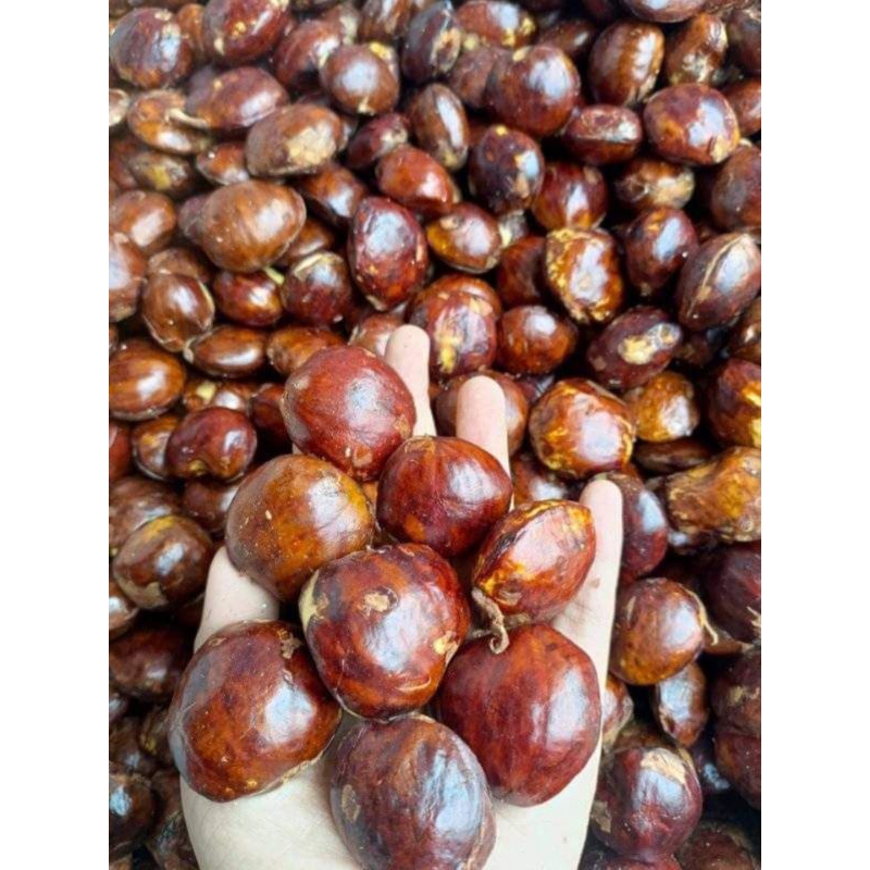 

jengkol tua 1kg biji campur besar kecil
