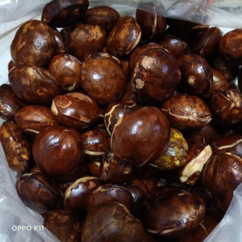 

jengkol tua presh sudah di sortir 1kg