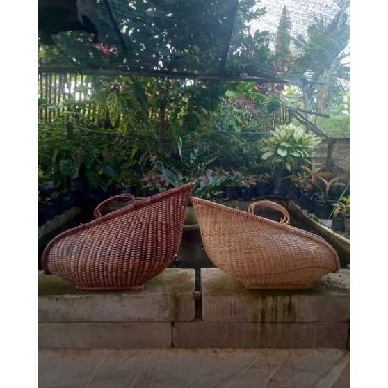 Segera Nantikan  KISA AYAM KISO AYAM TAS AYAM FULL ROTAN