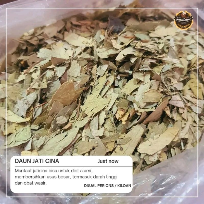

Daun Jati Cina