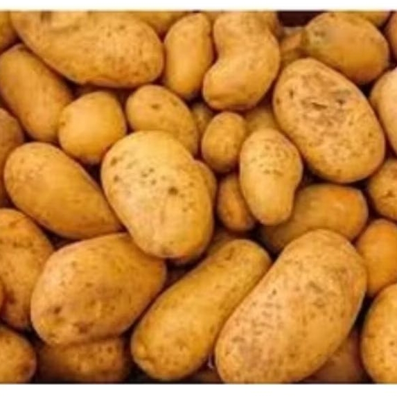

KENTANG SEGAR 500GR