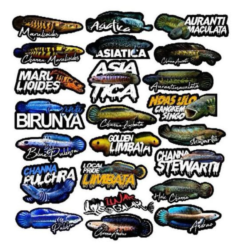 

STIKER CHANNA BP