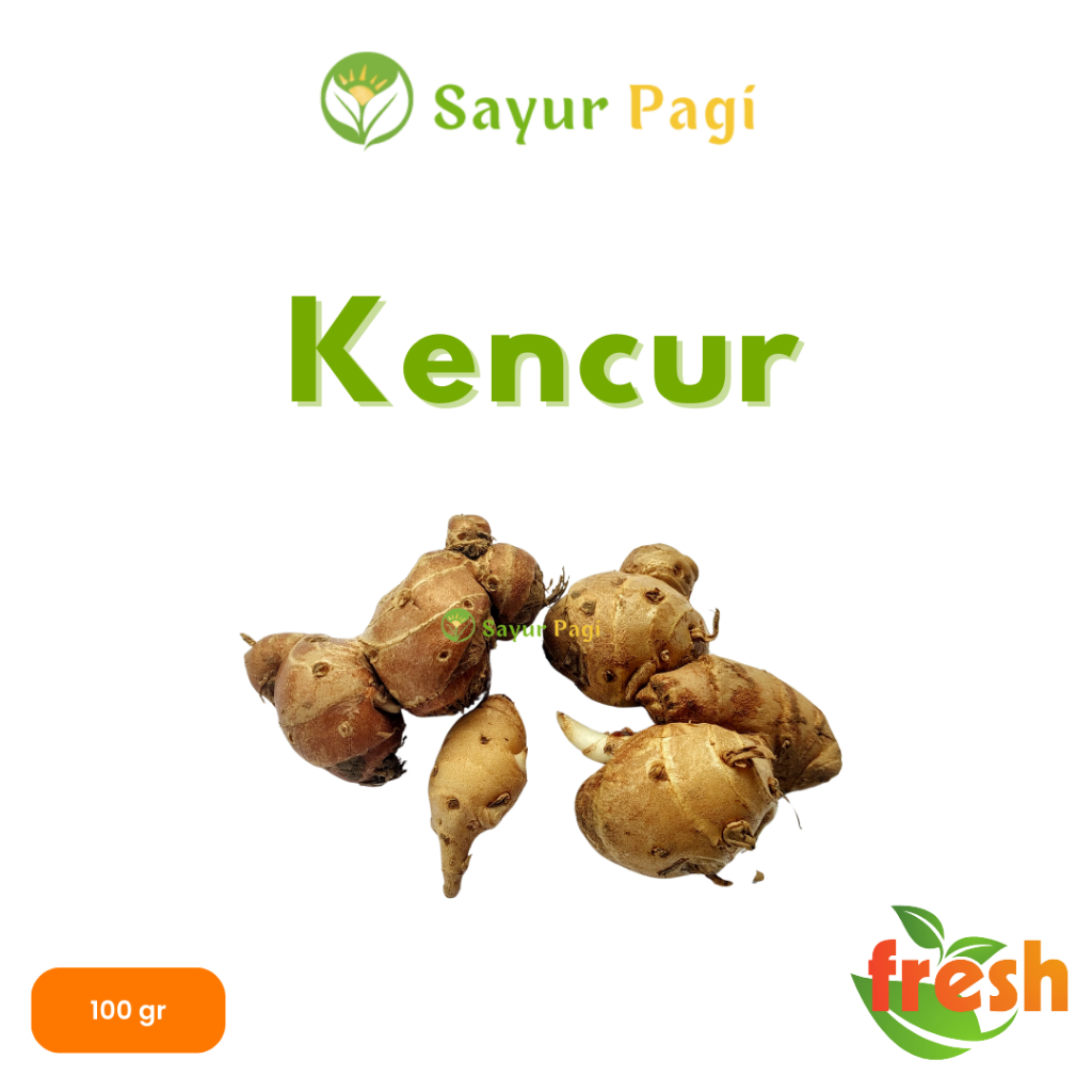 

rempah rempah kencur bumbu dapur