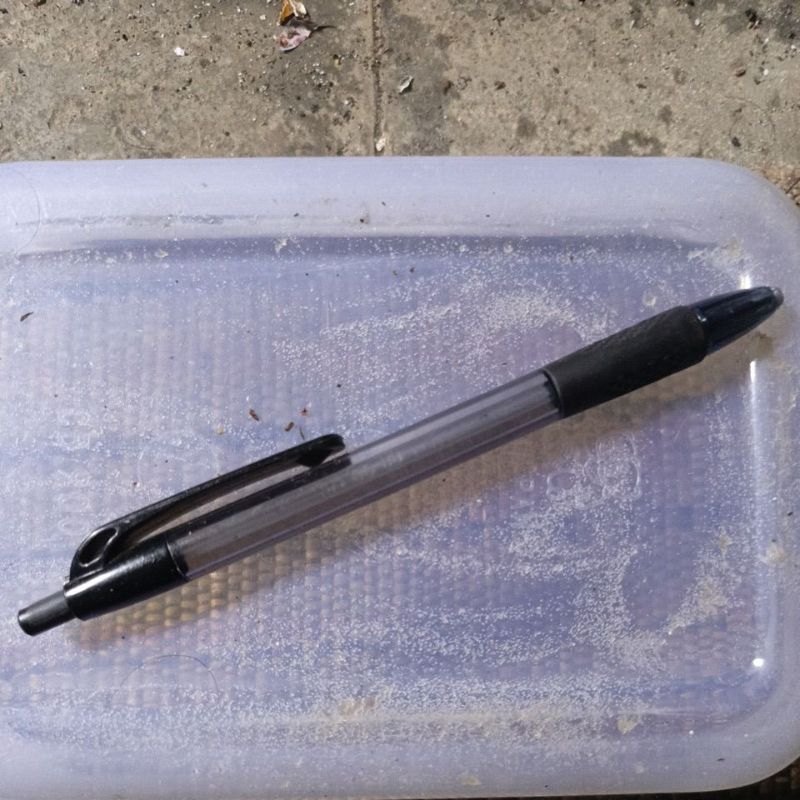 

pulpen