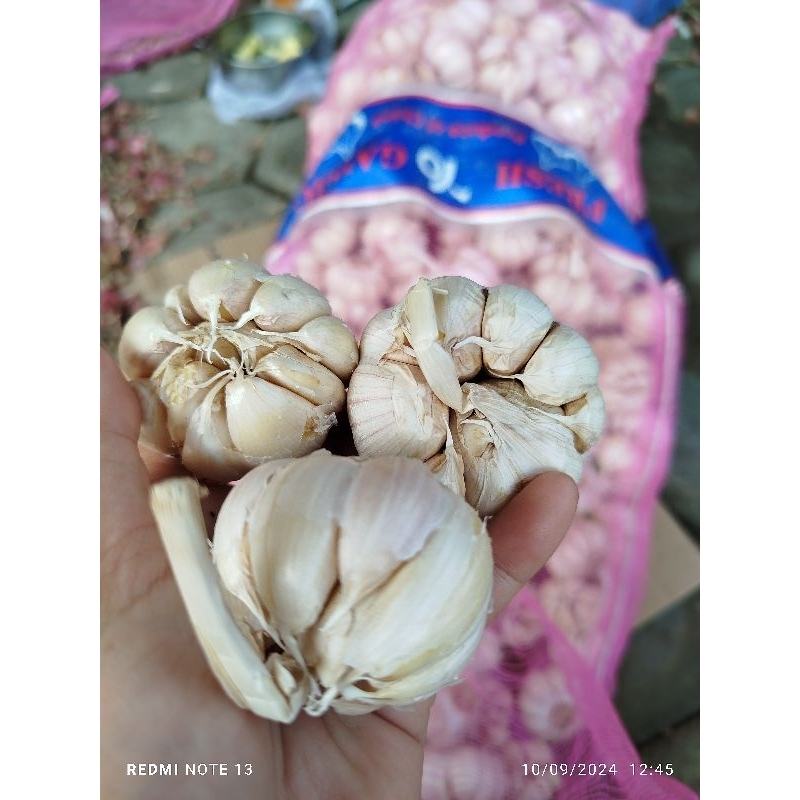 

bawang putih 1kg