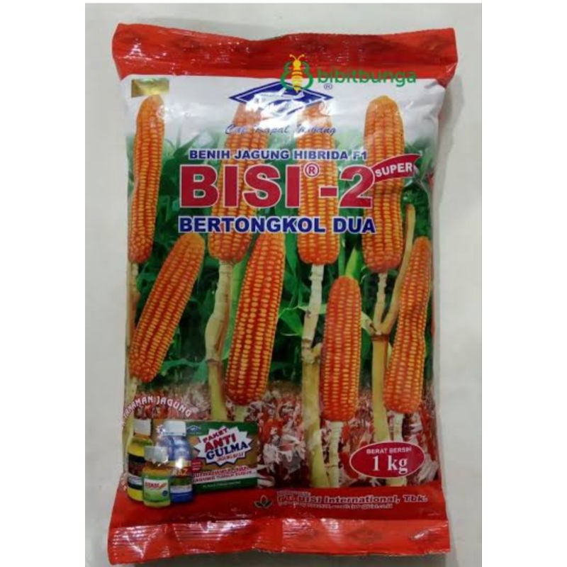 

Benih Jagung Bisi 2 exp 2025