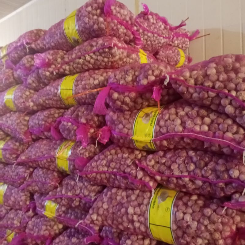 

BAWANG TUNGGAL JUMBO ~20 KG | KARUNGAN