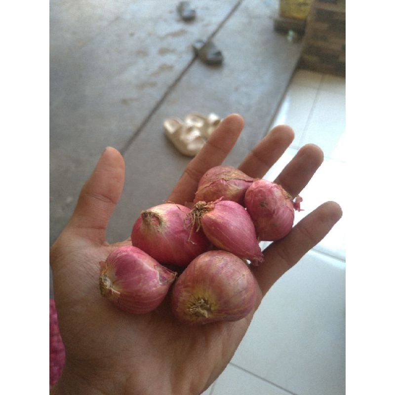 

bawan merah