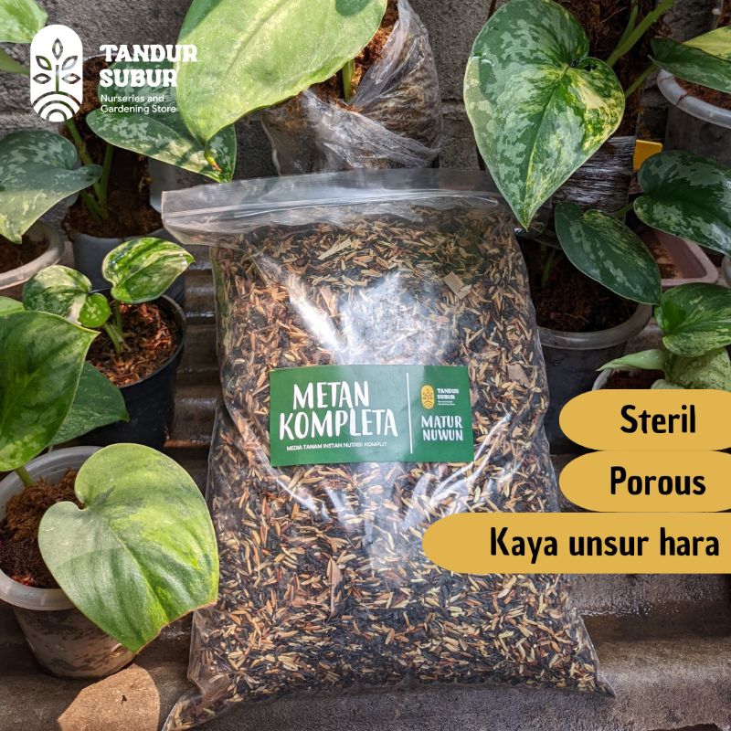 METAN KOMPLETA 1KG media tanam aglonema monstera philodendron anthurium sansevieria alocasia caladiu
