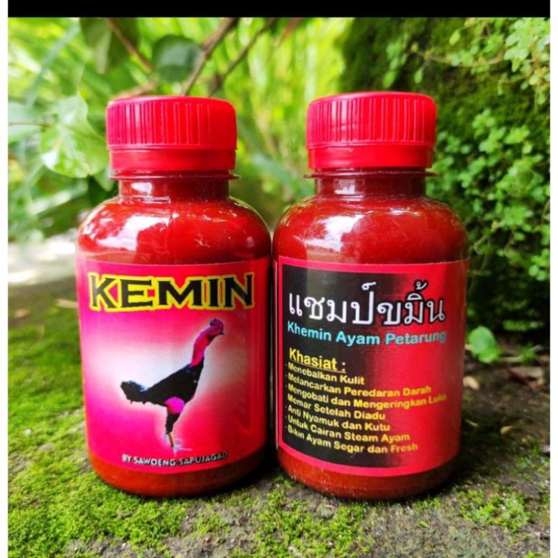 KEMIN SAWOENG memerahkan dan menebalkan kulit ayam aduan