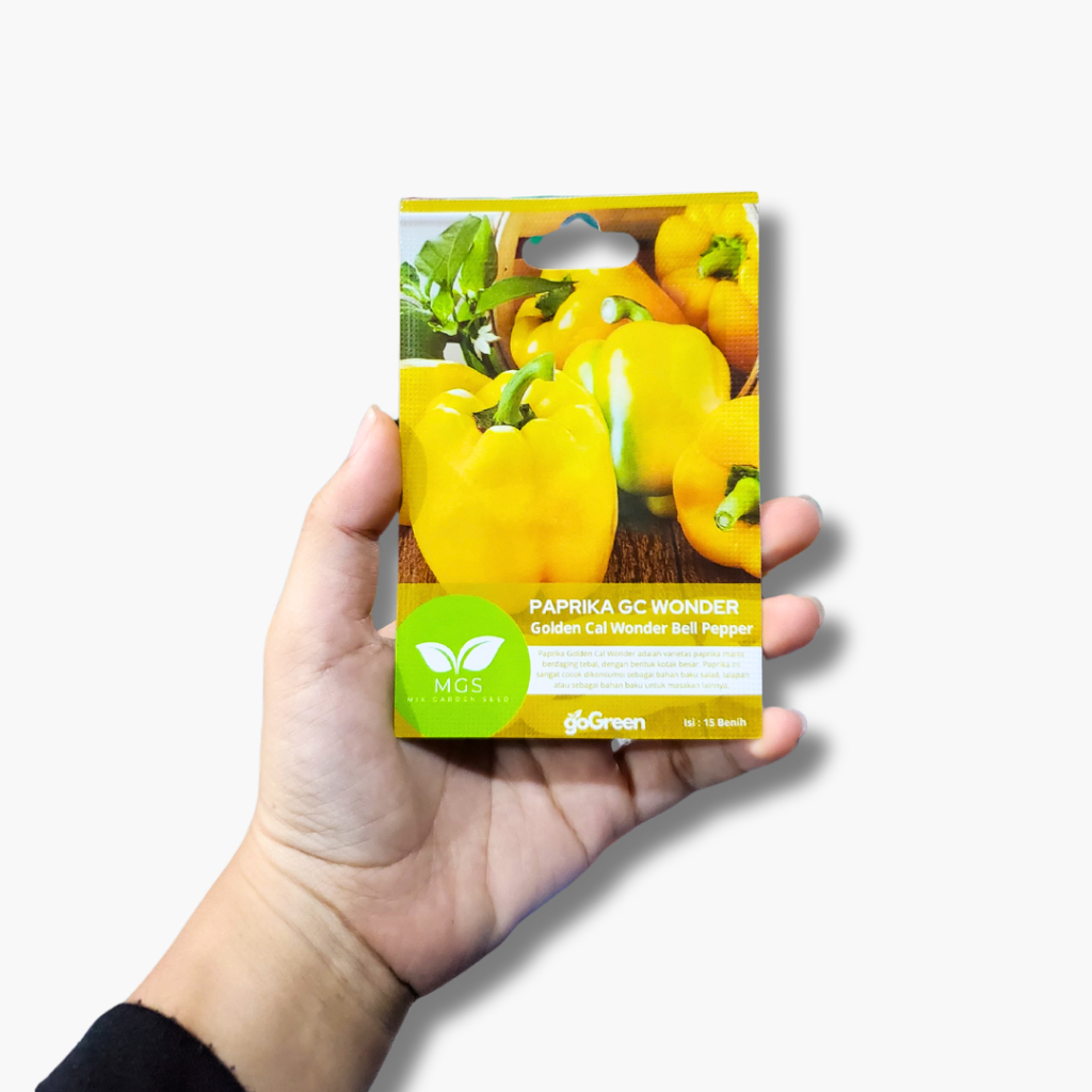 Benih Paprika Kuning-Golden Paprika/Benih Paprika GG Wonder Kuning