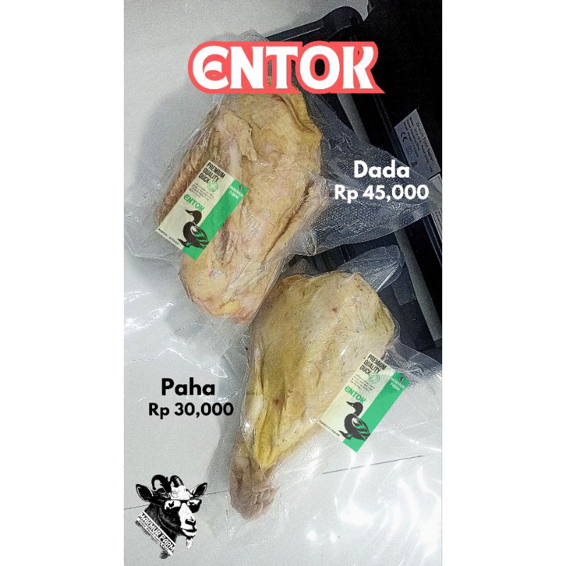 

Daging Entok Muda