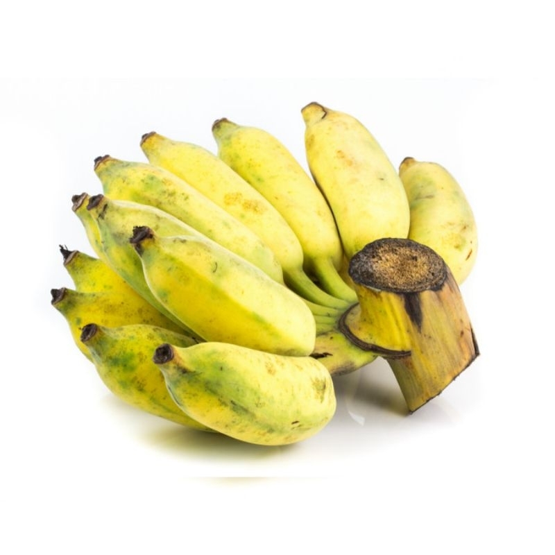 

Pisang Kepok Lampung 1 Sisir