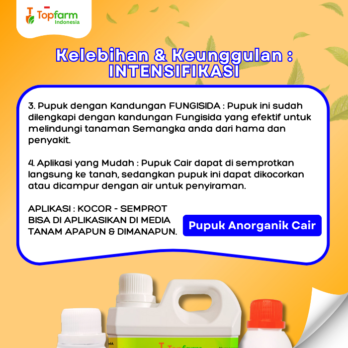 Lintang Gardening Pupuk Buah Semangka Super / Pupuk Tanaman Semangka Agar Cepat Berbuah / Pupuk Cair