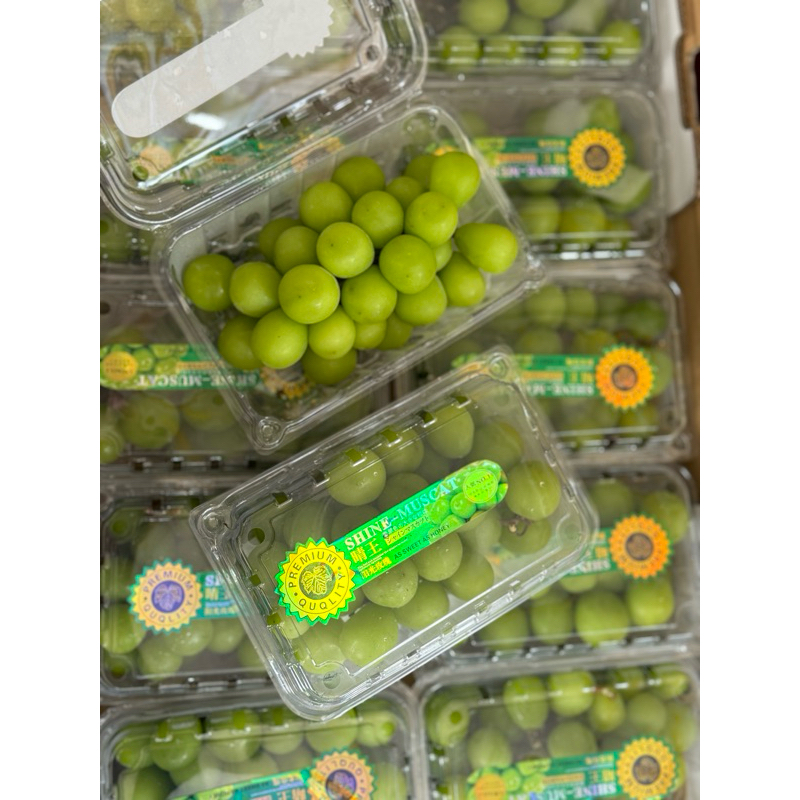 

Anggur Shine muscat 500gr