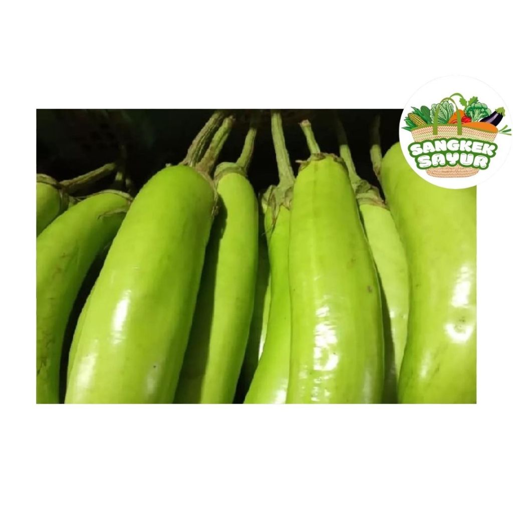 

Terong Hijau Panjang 500Gram - sangkek.sayur PALEMBANG