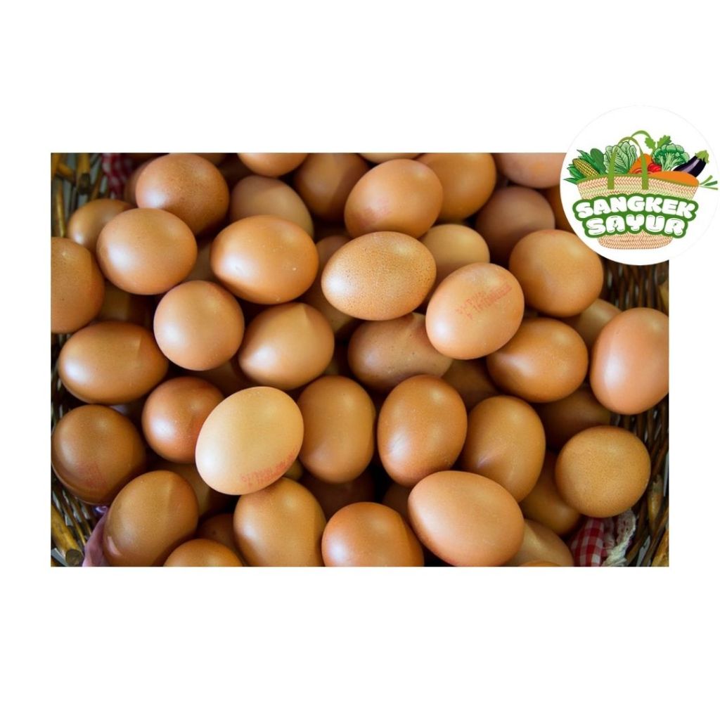 

Telur Ayam - sangkek.sayur PALEMBANG