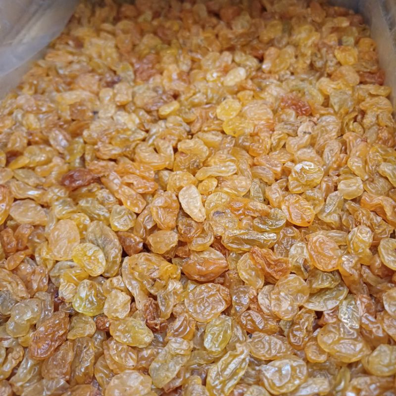 

RiDn Kismis yellow golden raisins 1kg asam manis kismis premium natural 100% alami dan segar