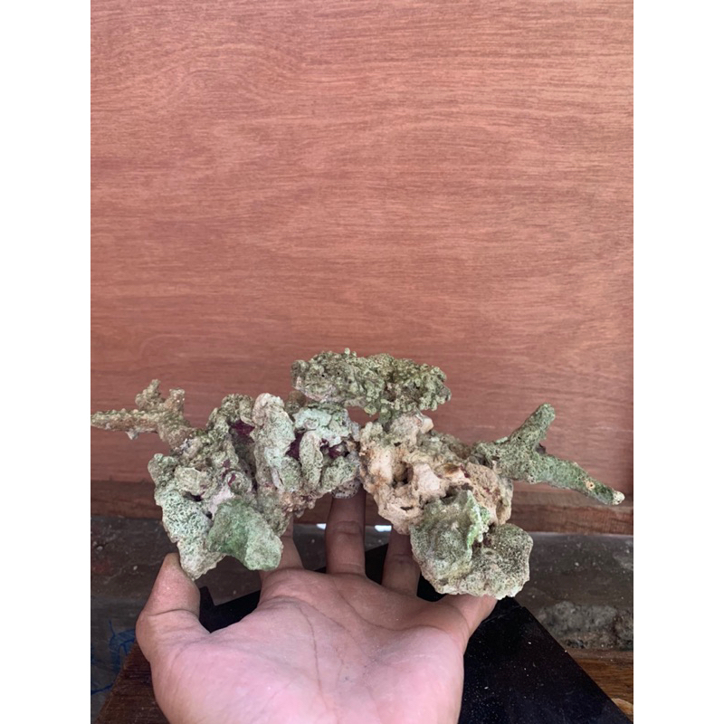 hiasan aquarium Scaping deadrock karang rangkai terumbu karang liverock dead rock aquascape