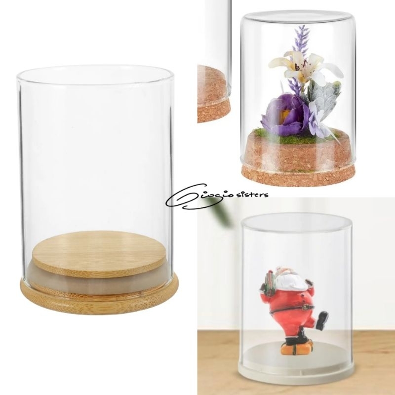 Flower Dome Cylinder Glass Dome Display Flower Dome Kubah Kaca Bunga Kubah Kaca Dasar Kayu Flower