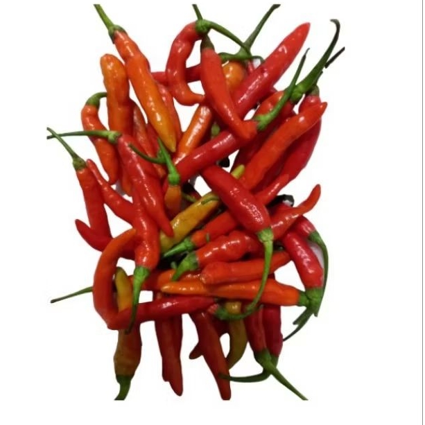 

Rawit Cengek Domba 100gr