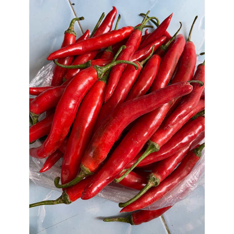 

Cabe Merah Besar Fresh 1kg