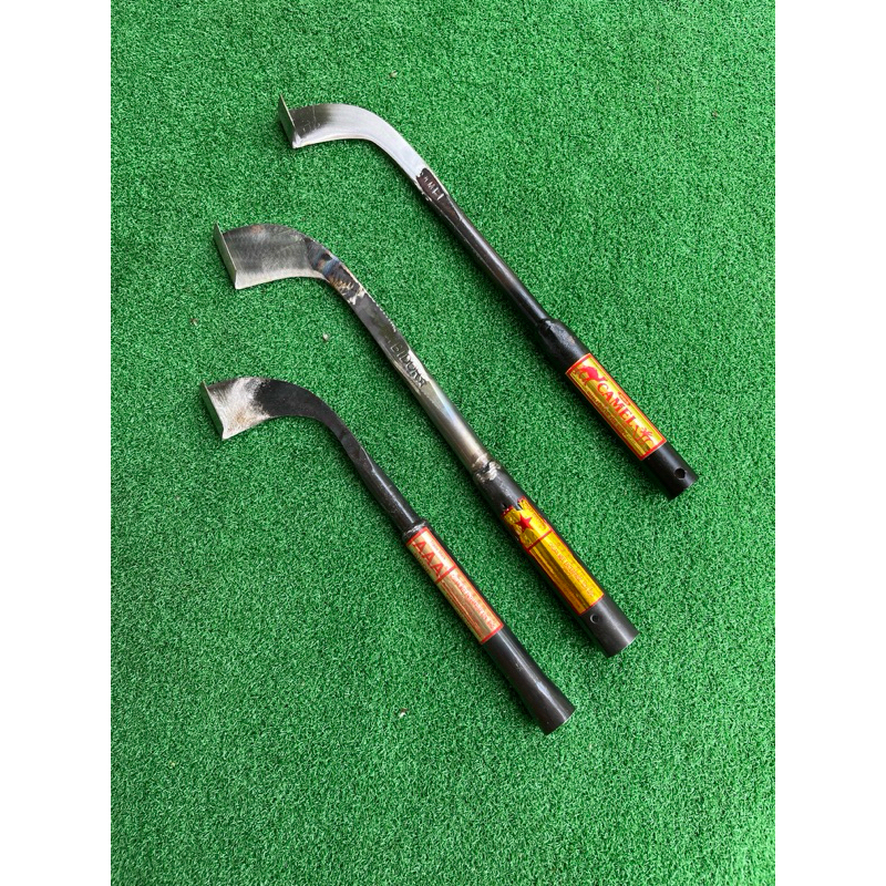 SADAP KARET BIDOR DAN CAMEL MALAYSIA