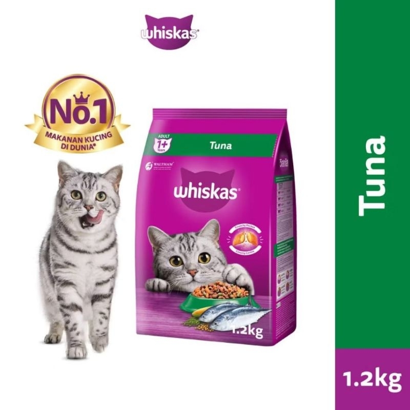 Whiskas Dry Food Kucing