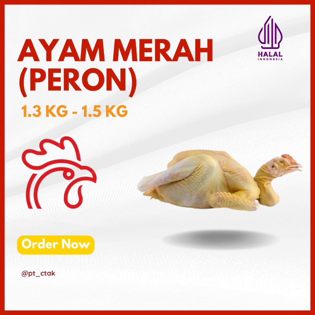 

DA Ayam Merah / Tua / Peron (FRESH & FROZEN) Ukuran 1.3 - 1.5 Kg