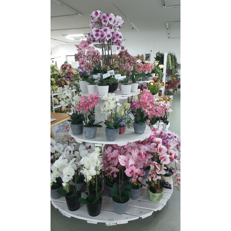 Artificial Anggrek/Anggrek Buatan