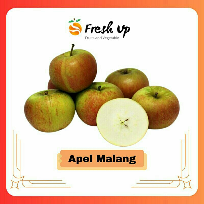 

Apel Malang Fresh 1 kg | FreshUp