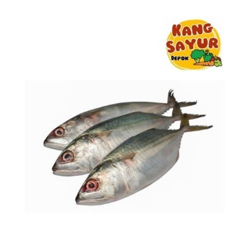 

IKAN KEMBUNG 500 GR