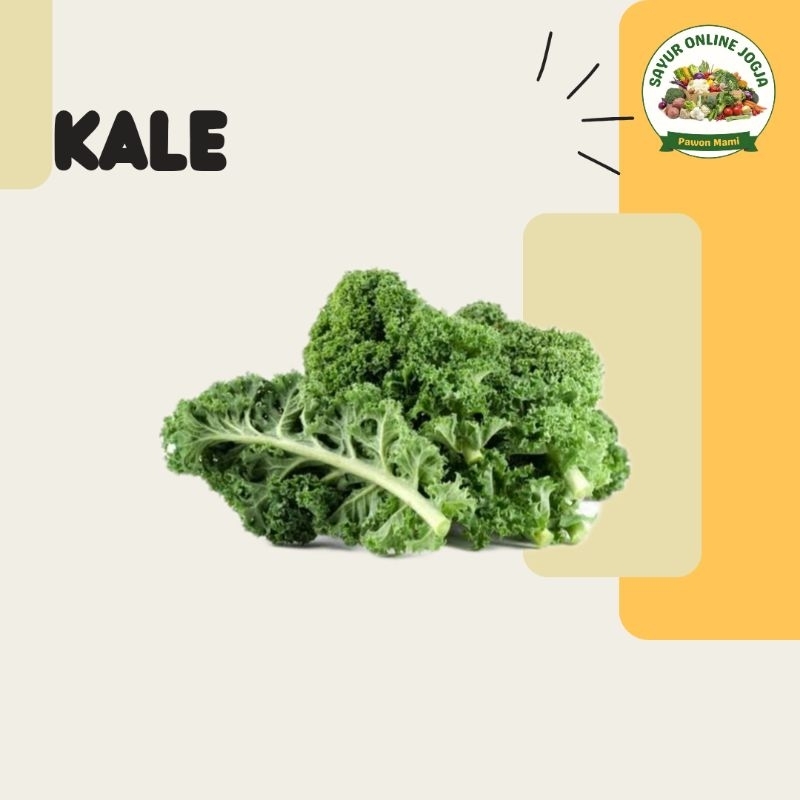 

Kale - PAWON MAMI SAYUR ONLINE JOGJA