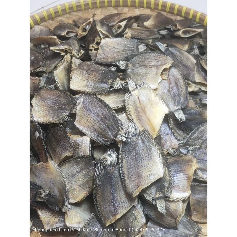 

IKAN SAPEK ASIN