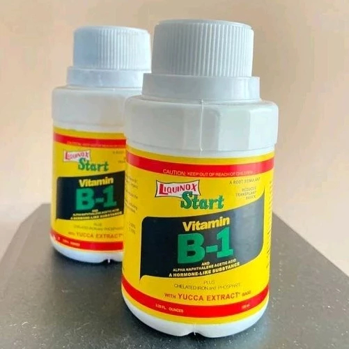 Pupuk Liquinox Beli 1 Gratis 1 Pupuk Liquinox Start Vitamin B1 100ML Original