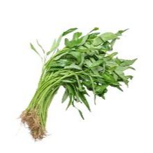 

Sayur Kangkung Fresh Box 1 Ikat