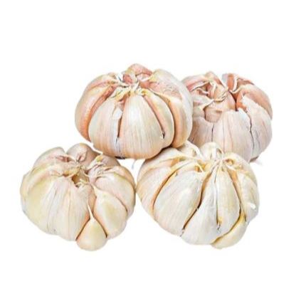 

Bawang Putih 100 Gram Fresh Box