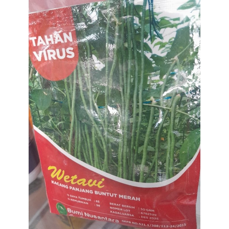 

kacang panjang wetavi 50gr