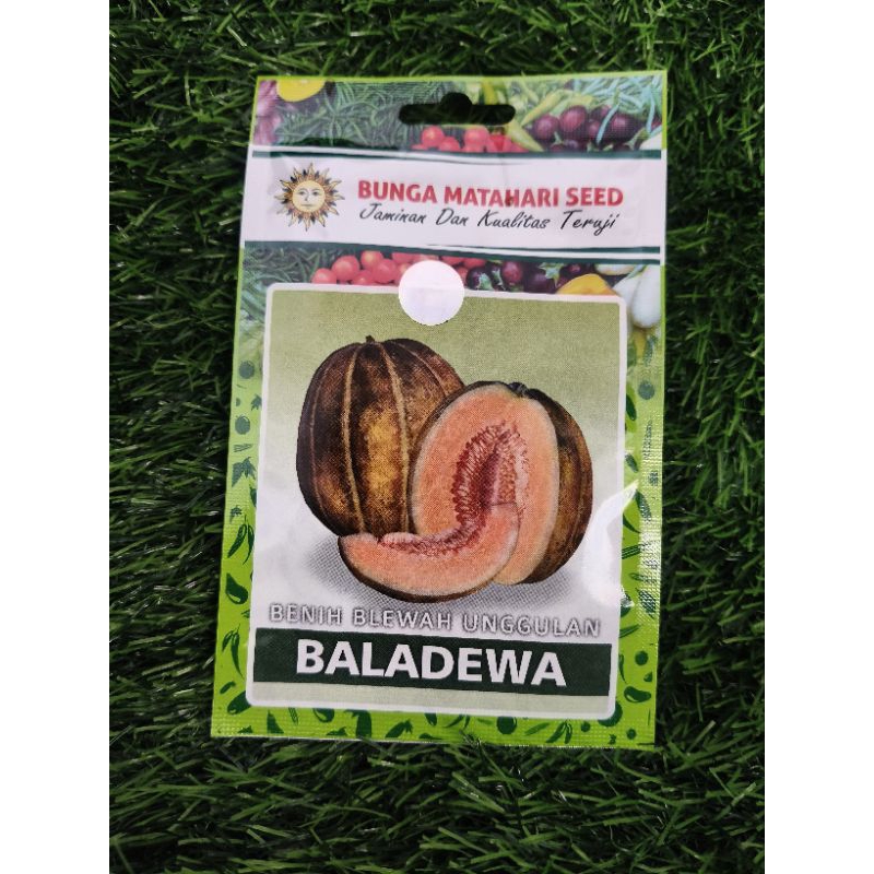 Benih Blewah Unggulan BALADEWA