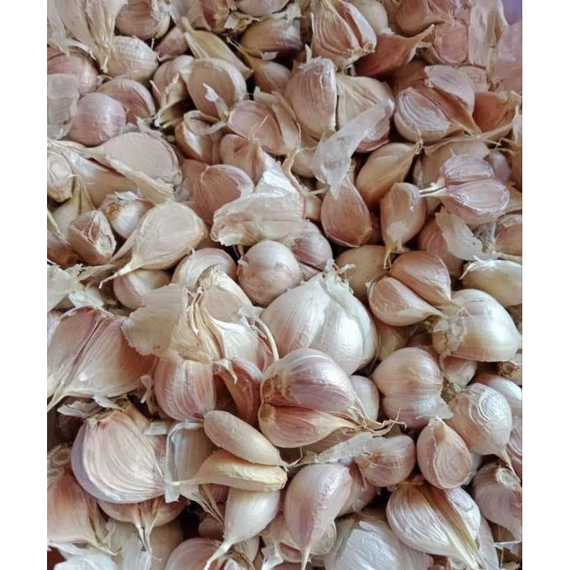 

Bawang Putih Kating 1Kg