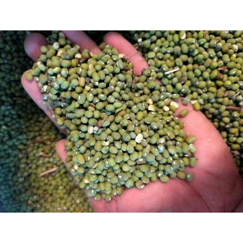 

Kacang Ijo super/Kacang Ijo Bersih 1000grm