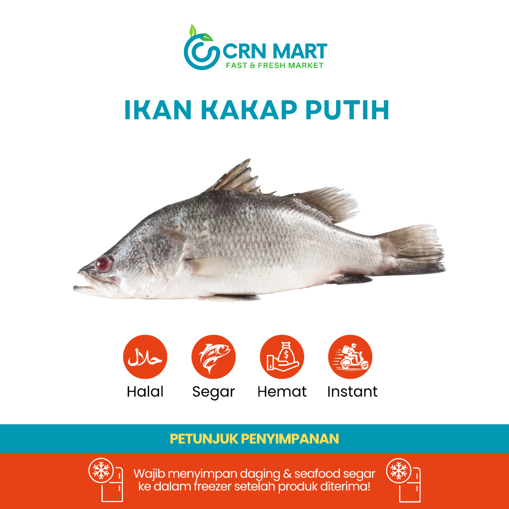 

CRN MART - Ikan Kakap Putih Segar/Seafood Segar/Ikan Kakap Putih Fresh 1 kg