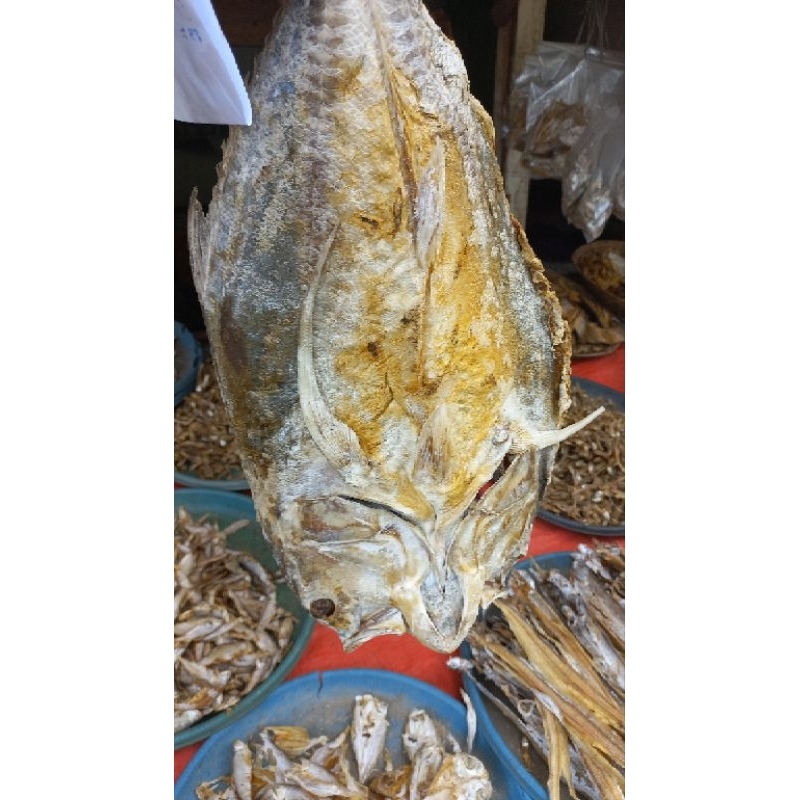 

Ikan asin Kakap premium daging tebal 500 kg