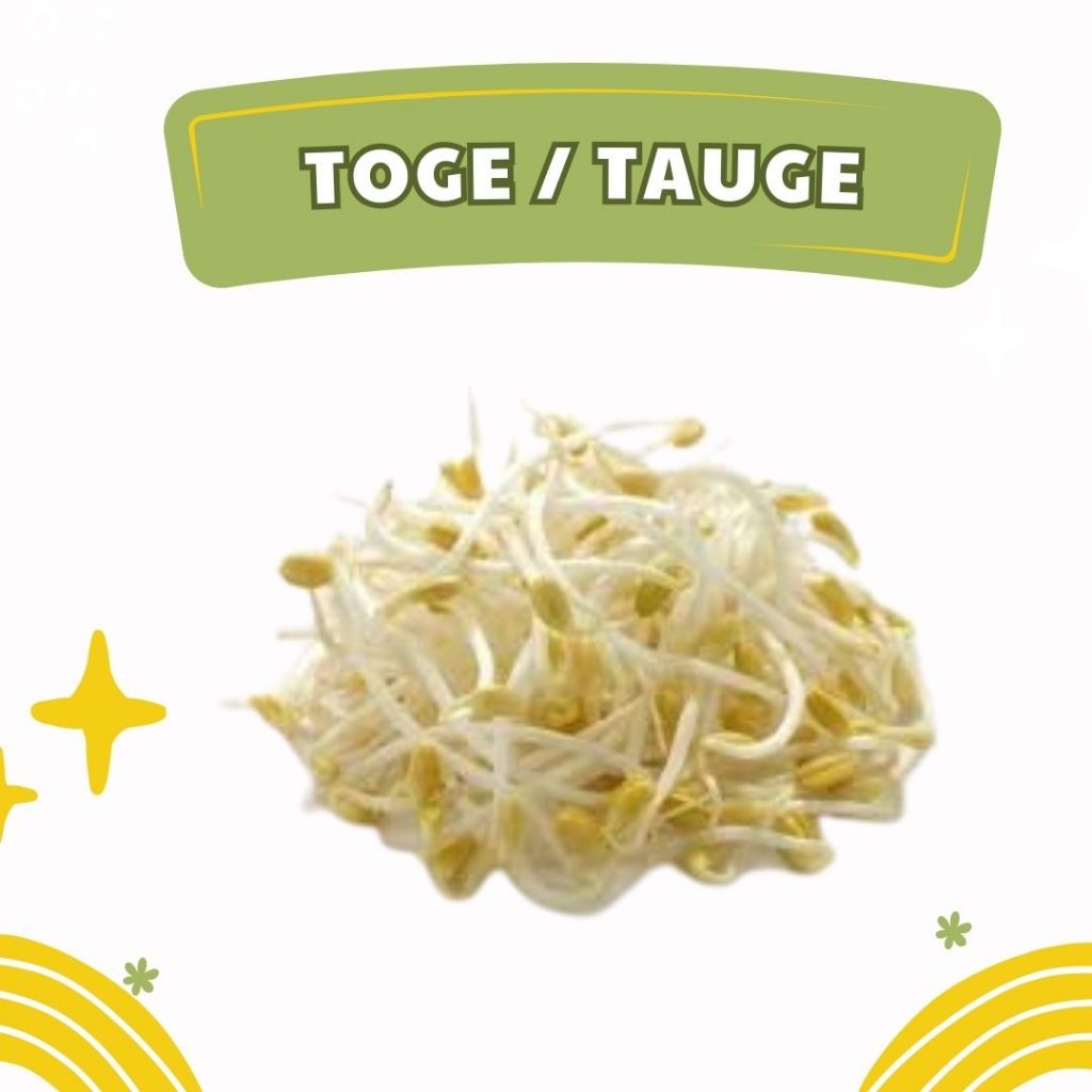 

Sayuran Toge | Tauge 500 Gram