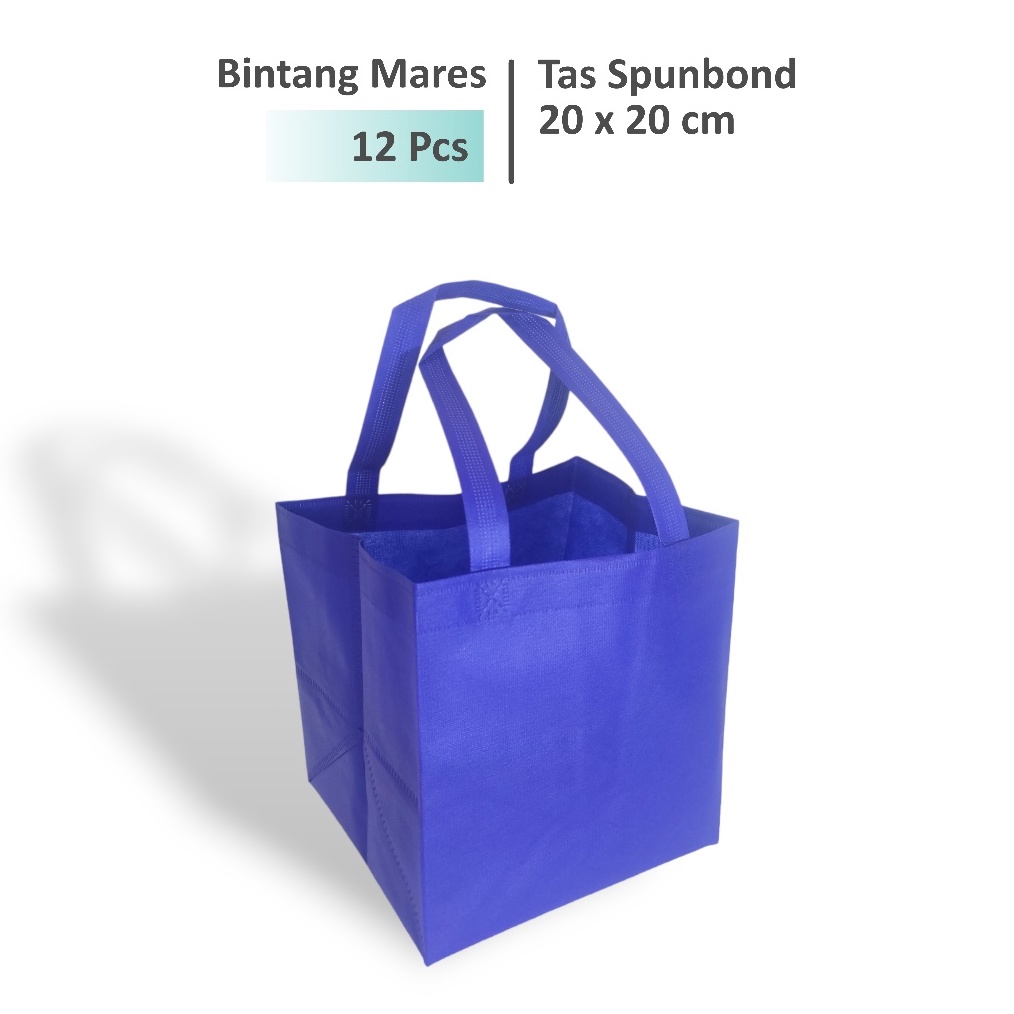 

12 Pcs Tas Hajatan 2x2 Tas Box Nasi 2x2 Tas Spunbond
